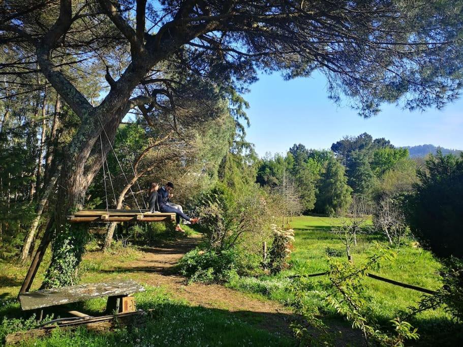 Pine Lodge - Direct Train To Porto Valongo  Exteriör bild