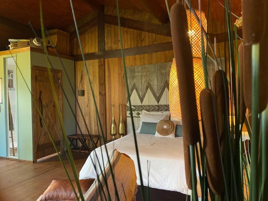 Pine Lodge - Direct Train To Porto Valongo  Exteriör bild